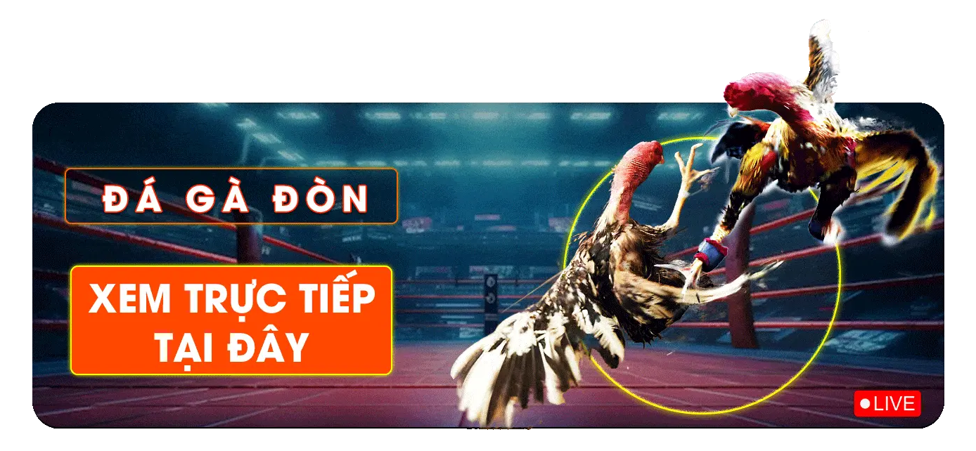 trực tiếp đá gà đòn vz99