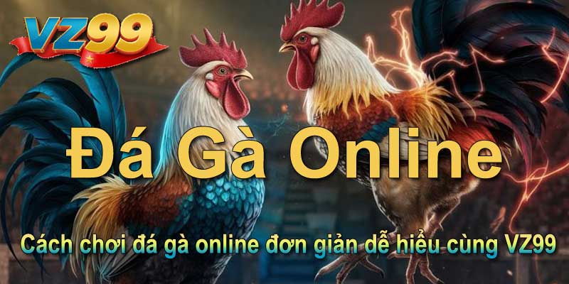 Cách chơi đá gà online đơn giản dễ hiểu cùng VZ99
